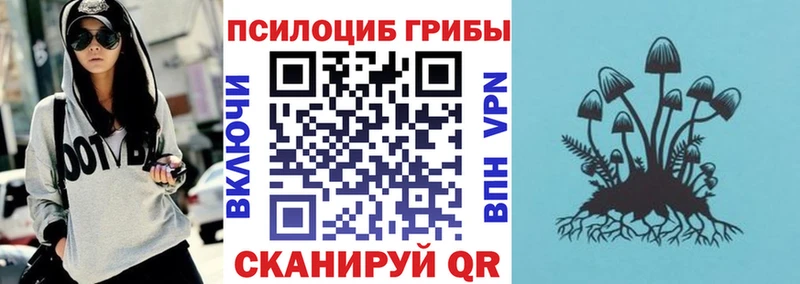 наркота  Абаза  Галлюциногенные грибы Psilocybe 